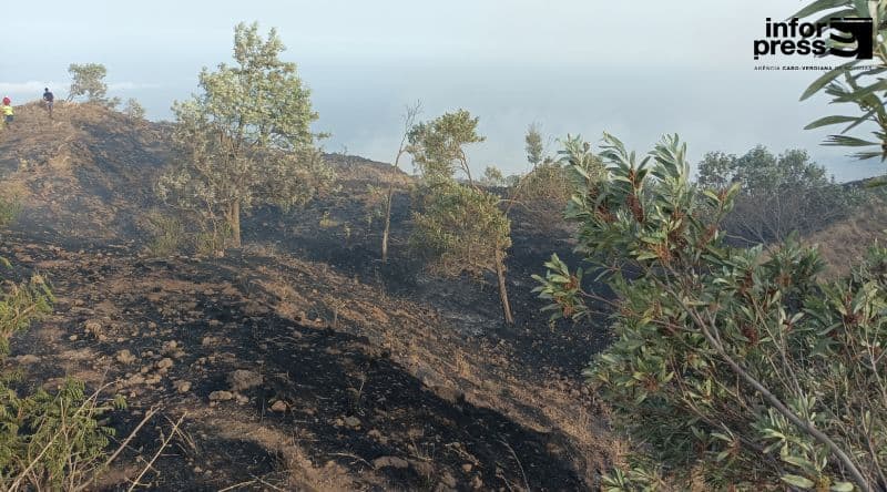 Fogo: Incêndio descontrolado em Santa Catarina já consumiu cerca de 200 hectares de terrenos