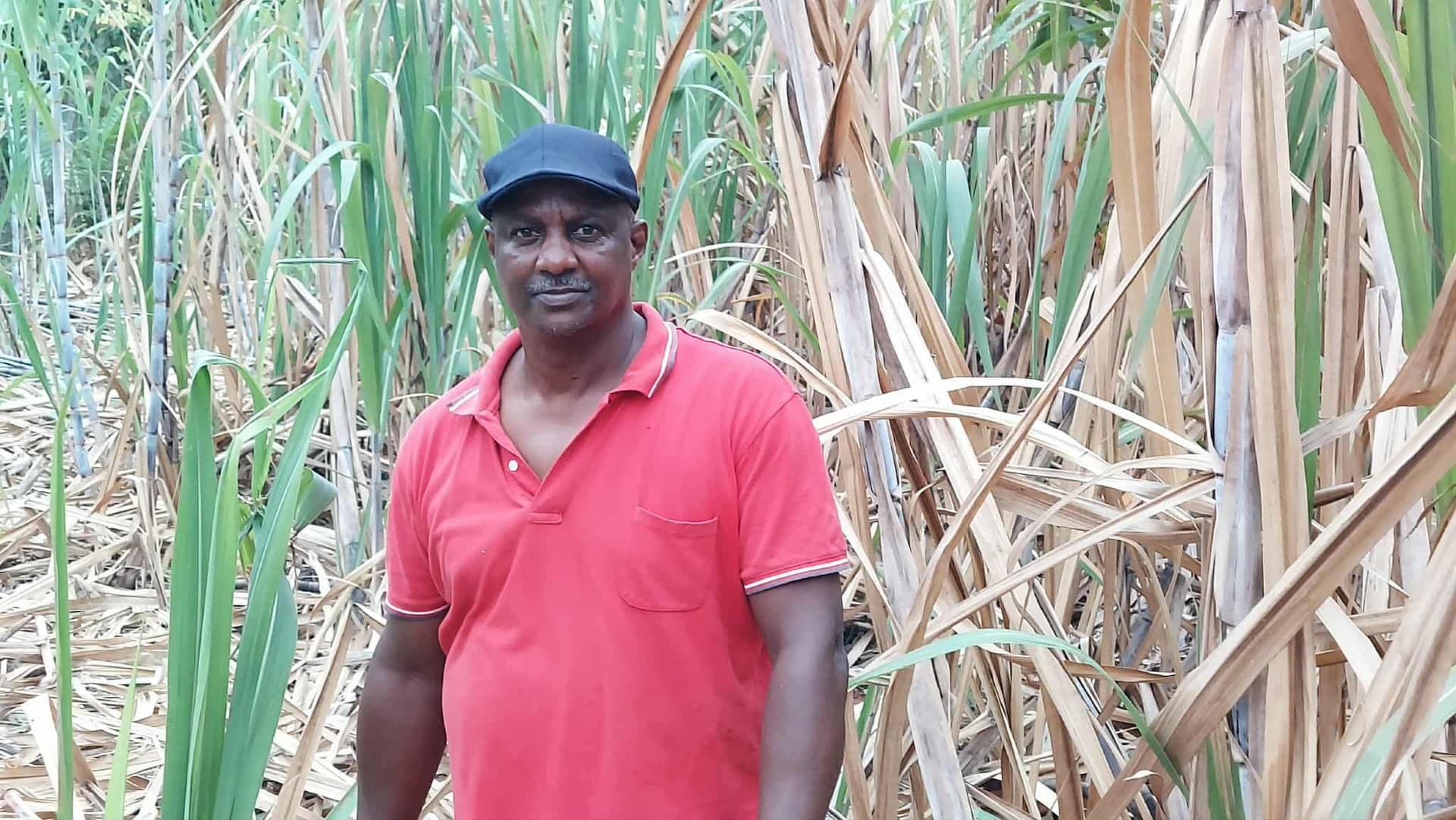  Carlos Lopes e o amor ao trabalho do Campo em São Tomé
