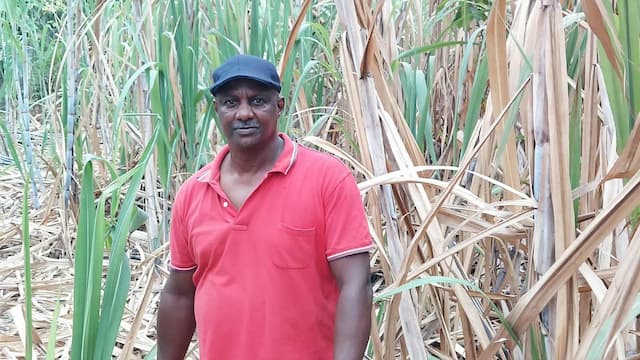  Carlos Lopes e o amor ao trabalho do Campo em São Tomé