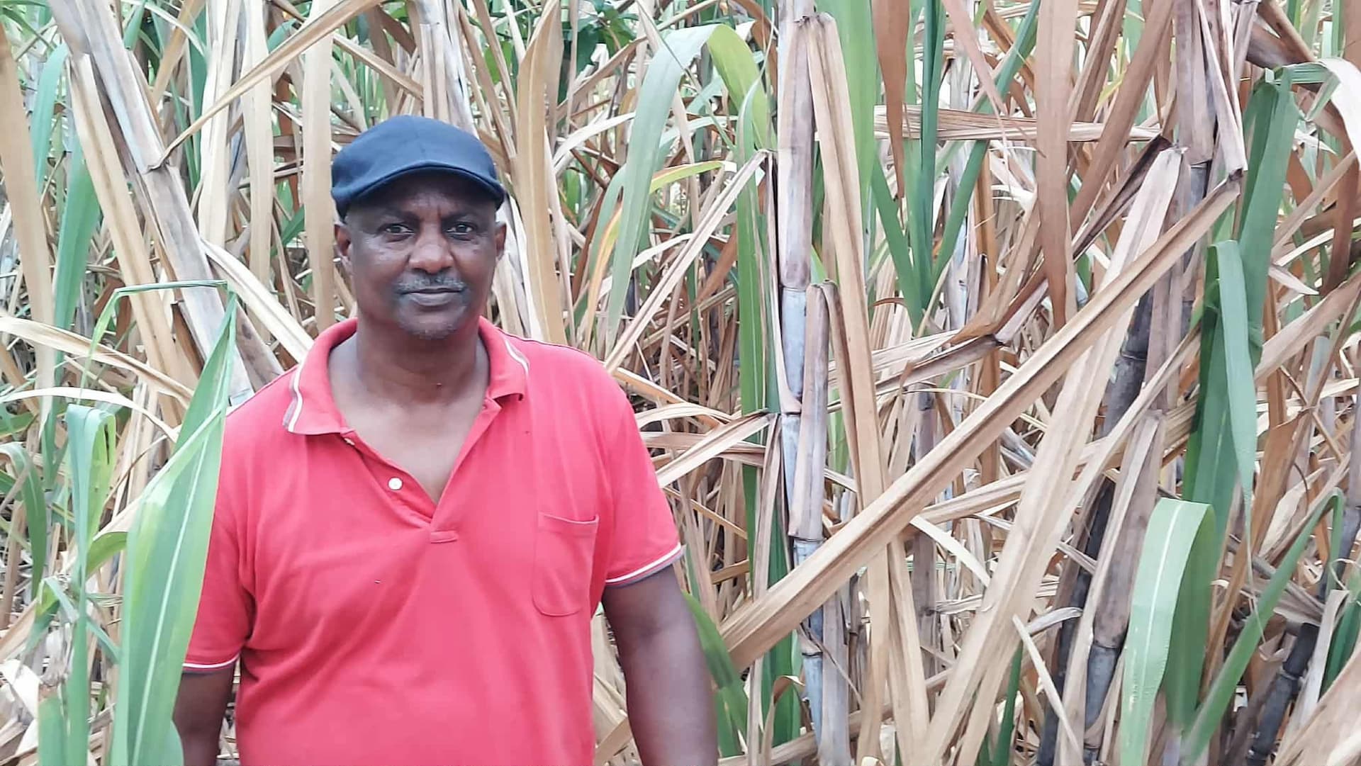 Carlos Lopes e o amor ao trabalho do Campo em São Tomé