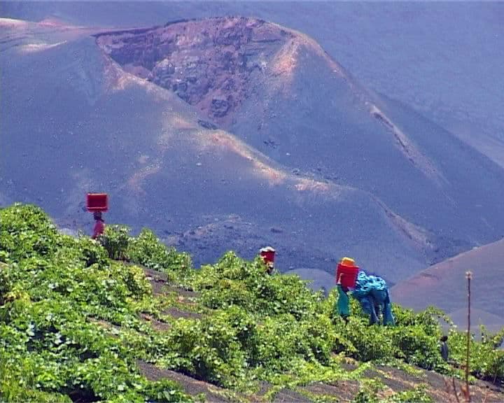 Ilha do Fogo acolhe salão internacional do vinho e produtos agropecuários