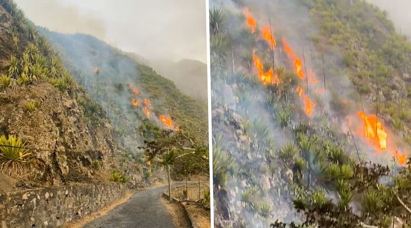 Fogo: Incêndio que deflagrou em Cova Matinho continua activo