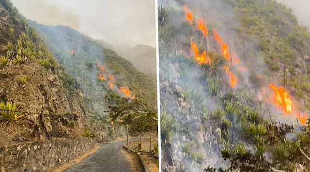 Fogo: Incêndio que deflagrou em Cova Matinho continua activo