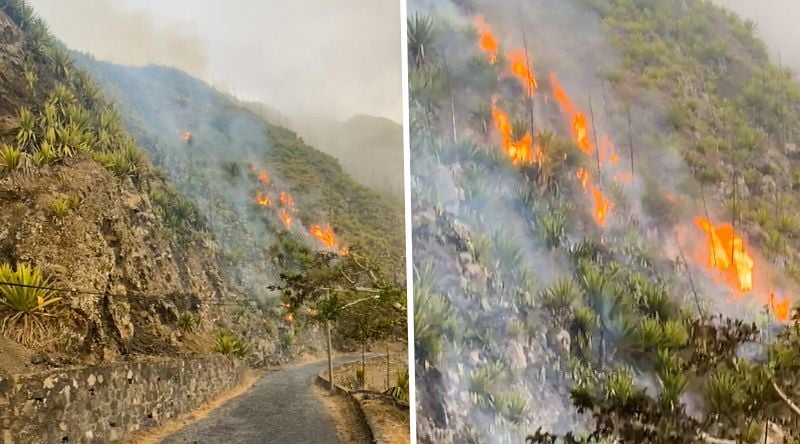 Fogo: Incêndio que deflagrou em Cova Matinho continua activo